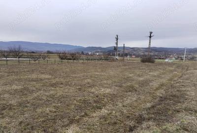 Teren de 3000 mp, în Vața de Jos - 5