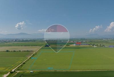Teren Construcții intravilan de 31200 mp, în Feldioara