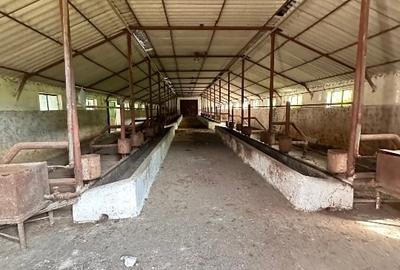 Teren Construcții intravilan de 115367 mp, în Piatra - 9