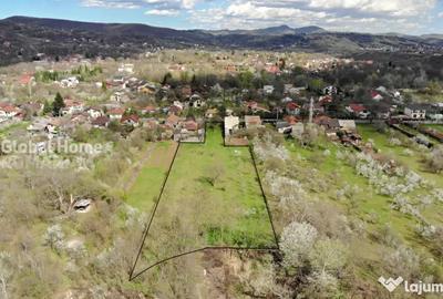 Teren de 4898 mp, în Cornu - 6