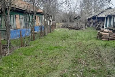 Teren de 5000 mp, în Albeni