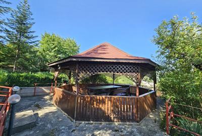 Casă individuală cu 7 camere cu Teren 1858 Mp în Vintilă Vodă - 7