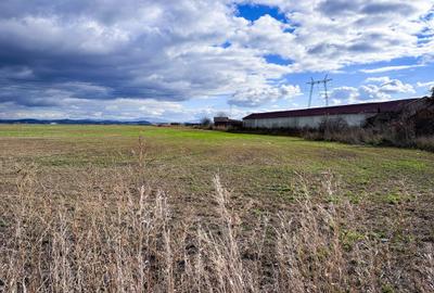 Teren agricol intravilan de 5000 mp, în Hălchiu - 7