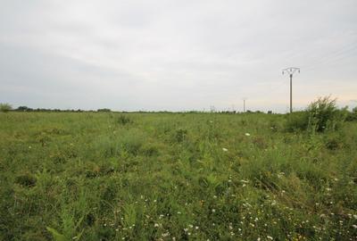 Teren agricol extravilan de 9400 mp, în Mehala - 7
