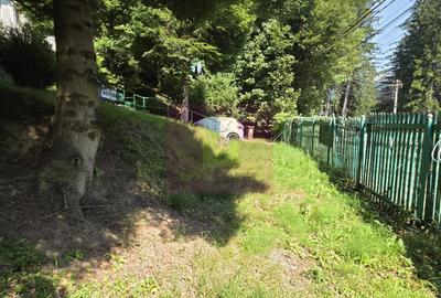 Teren de 979 mp, în Castelul Peleș