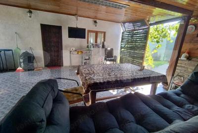 Casă cu 5 camere cu Teren 3400 Mp în Leamna de Sus - 6