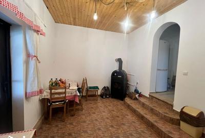 Casă cu 3 camere cu Teren 1000 Mp în Eremitu - 18