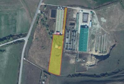 Teren extravilan de 7935 mp, în Belin