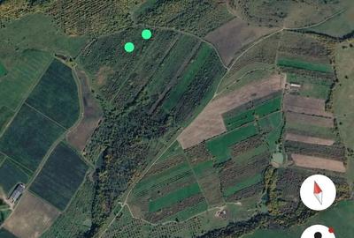 Teren de 1700 mp, în Ghinda