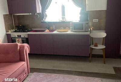 Apartament cu 2 camere în Bucium - 4