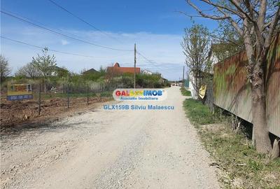 Teren Construcții intravilan de 854 mp, în Mogoșoaia - 8
