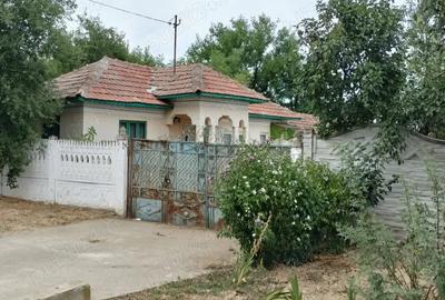 Casă cu 3 camere în Scăești
