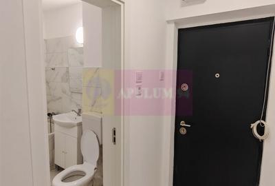 Garsonieră semidecomandată în Dristor - 5