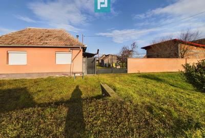 Casă individuală cu 3 camere cu Teren 2622 Mp în Turnu - 26