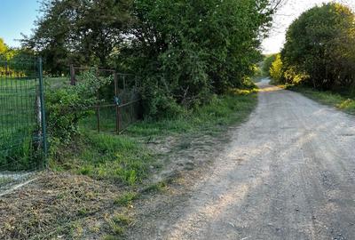 Teren de 5600 mp, în Pianu - 5