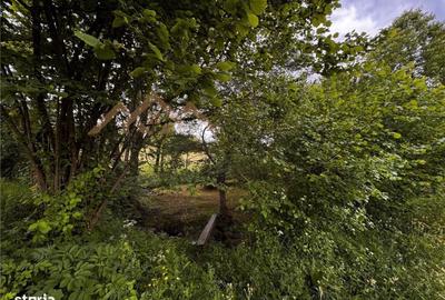 Casă cu 3 camere în Breb - 15