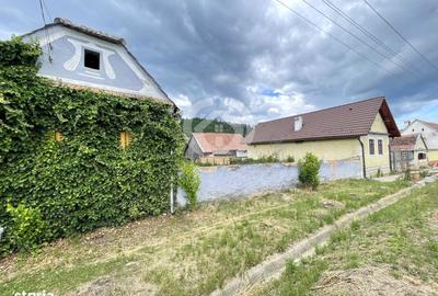 Casă cu 2 camere în Mihăileni