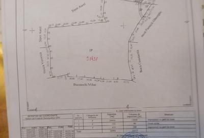 Teren de 25000 mp, în Plai - 1