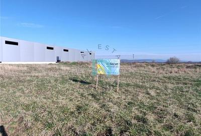 Teren Construcții intravilan de 7700 mp, în Prejmer - 3