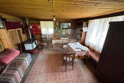 Casă individuală cu 2 camere cu Canalizare în Cacova Ierii - 3