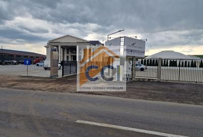 Teren agricol intravilan de 10000 mp, în Vest - 14