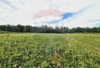 Teren agricol extravilan de 5755 mp, în Hidișelu de Sus - 2