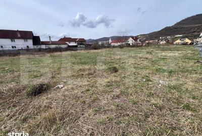 Teren de 4400 mp, în Viișoara - 3
