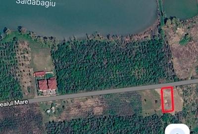 Teren Construcții intravilan de 640 mp, în Săldăbagiu de Munte