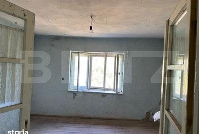Casă cu 2 camere cu Teren 11000 Mp în Vințu de Jos