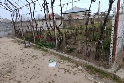 Casă cu 5 camere cu Teren 8481 Mp în Soreni - 4