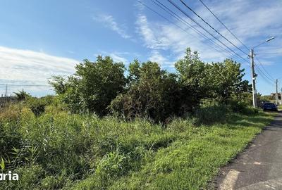 Teren de 3600 mp, în Copăceni