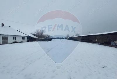 Casă cu 5 camere cu Teren 7531 Mp în Sacu - 14