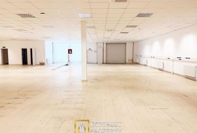 Spațiu industrial, de 376 mp, în Exterior Nord - 3