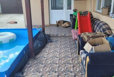 Casă cu 4 camere în Sârbi - 3