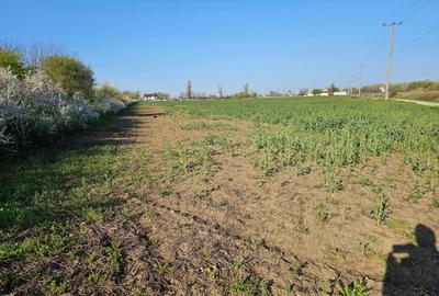 Teren Construcții intravilan de 10100 mp, în Potigrafu - 10