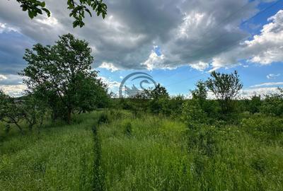 Teren agricol intravilan de 3600 mp, în Gura Vitioarei - 5