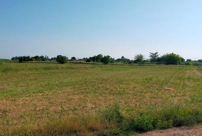Teren Construcții intravilan de 2502 mp, în Moara Vlăsiei - 2