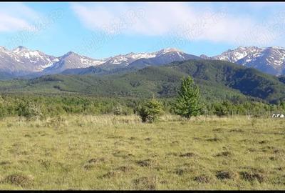 Teren de 1125 mp, în Porumbacu de Sus