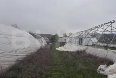 Teren de 11500 mp, în Central - 2