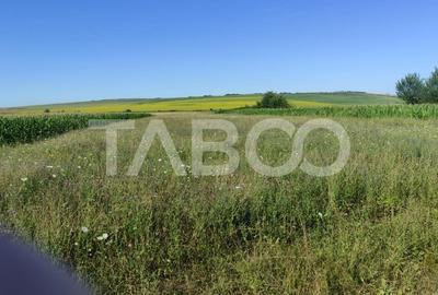 Teren agricol extravilan de 25920 mp, în Șura Mică - 6