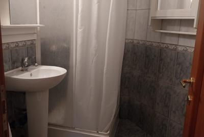 Apartament cu 2 camere decomandat, mobilat în Ultracentral - 9