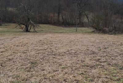 Teren de 3140 mp, în Petriș