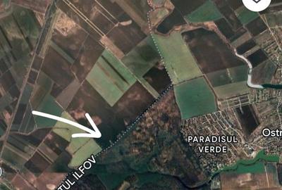 Teren agricol intravilan de 380000 mp, în Crevedia - 1