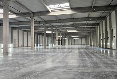 Spațiu industrial, de 9,500 mp, în Industrial Vest - 4