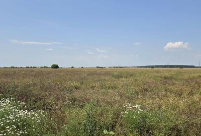 Teren de 2600 mp, în Ștefăneștii de Jos - 2