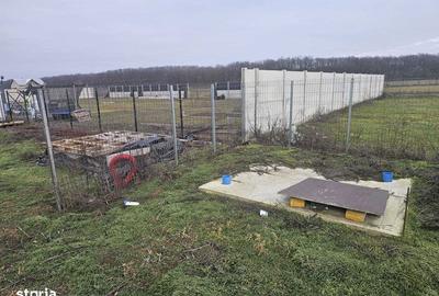 Teren de 625 mp, în Ștefăneștii de Jos - 3