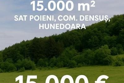 Teren de 15000 mp, în Densuș