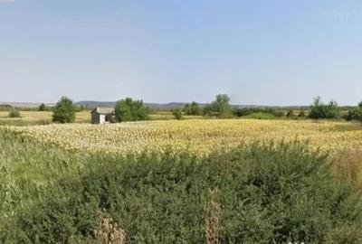 Teren de 23000 mp, în Secu - 2