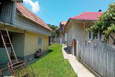 Casă cu 4 camere în Curița