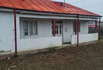 Casă în Garoafa - 6